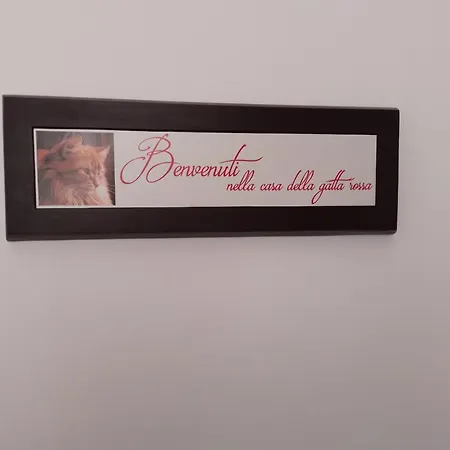 Casa Gatta Rossa Orange Cat House Apartment *