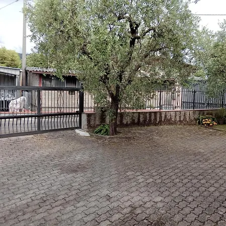 Casa Gatta Rossa Orange Cat House
